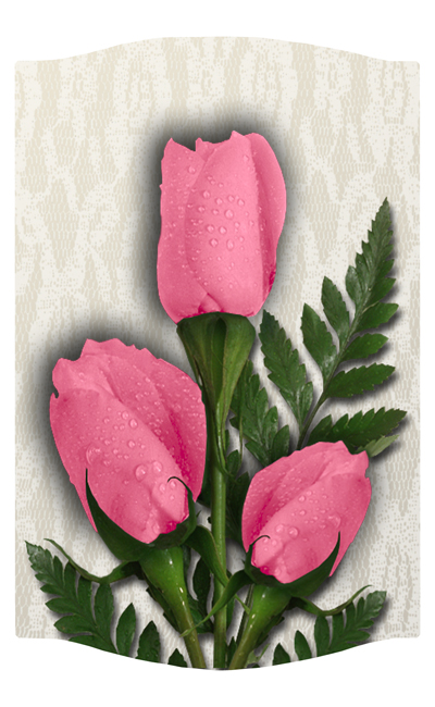 DNSLOG C 054 2 Roses Pink 